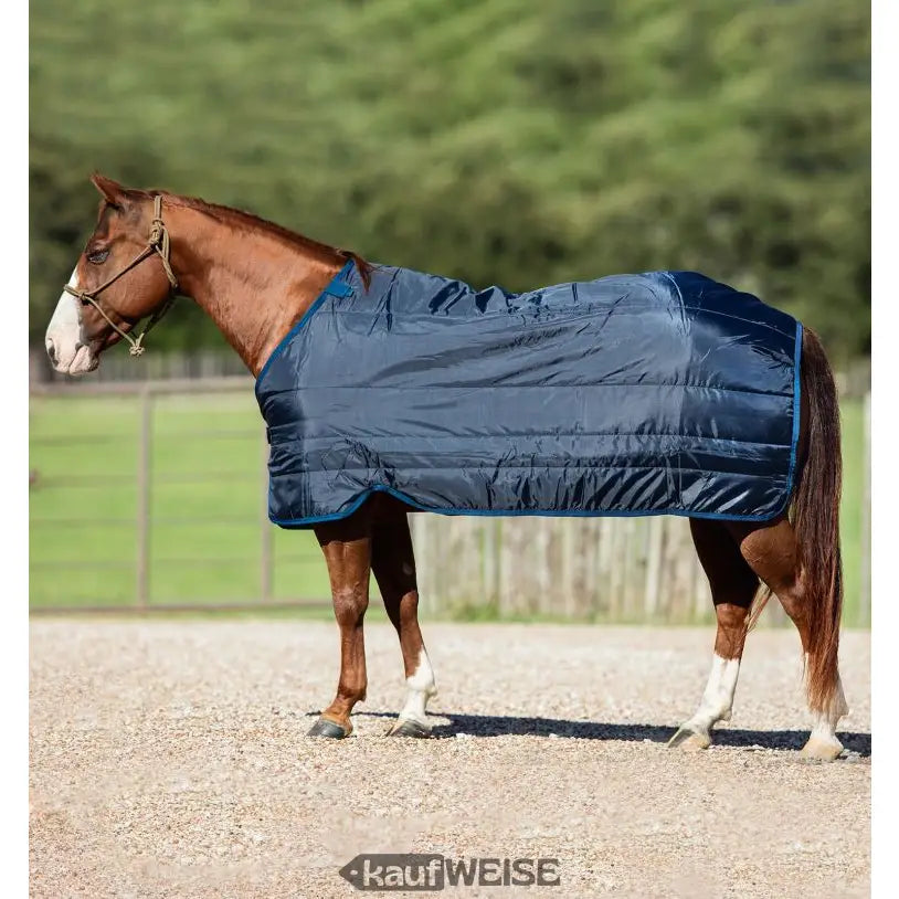 Marineblaue Steppendecke für Pferde Horseware Liner 100g 155/206 cm