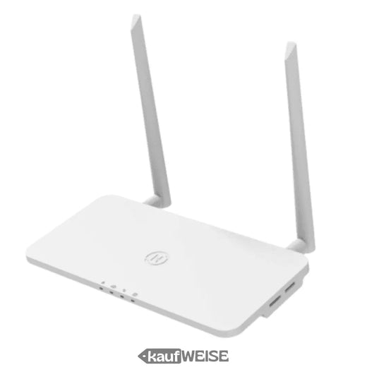 Hoymiles DTU-Pro-S – WLAN datalogger til mikroinvertere | Overvågning & Overvågning