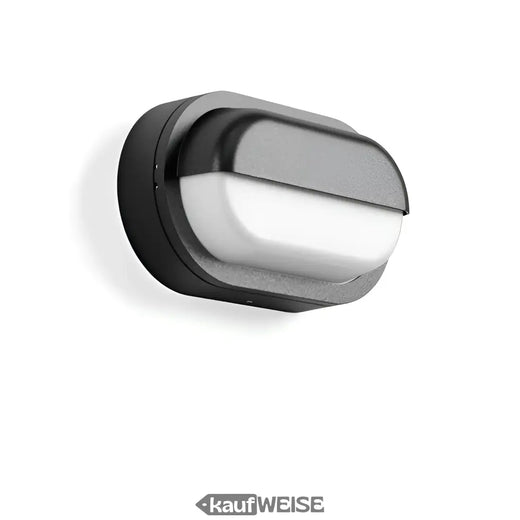 RZB Alu-Lux Oval LED væg- og loftlampe | 582065.0031.1
